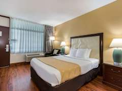 Zimmerbild 3