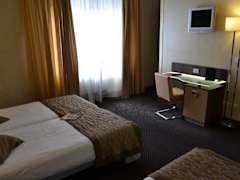 Zimmerbild 10
