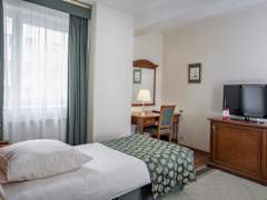 Zimmerbild 6