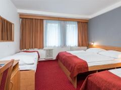 Zimmerbild 5