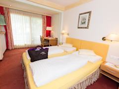 Zimmerbild 7