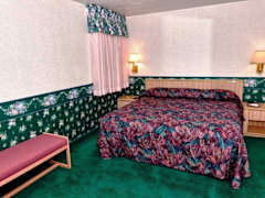 Zimmerbild 9