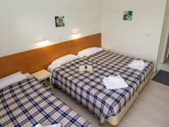 Zimmerbild 4