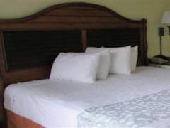 Zimmerbild 3