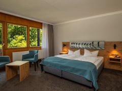 Zimmerbild 1