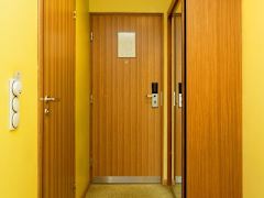 Zimmerbild 7