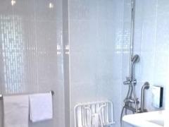 Zimmerbild 6