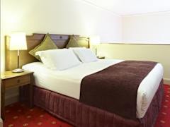 Zimmerbild 7