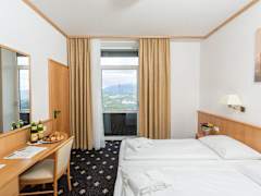 Zimmerbild 3