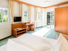 Zimmerbild 13
