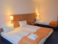 Zimmerbild 7