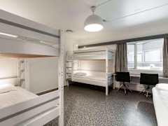 Zimmerbild 5