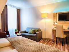 Zimmerbild 6