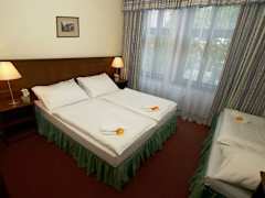 Zimmerbild 6