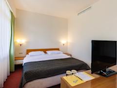 Zimmerbild 10
