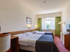 Zimmerbild 8