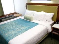 Zimmerbild 5