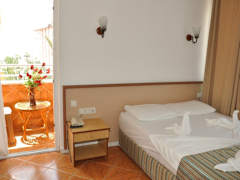 Zimmerbild 6