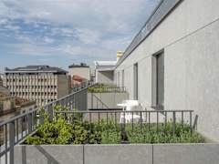 Zimmerbild 6