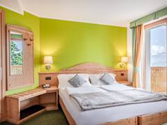 Zimmerbild 10