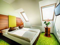 Zimmerbild 7