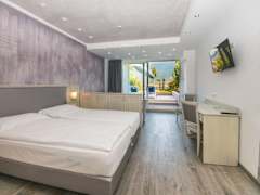 Zimmerbild 11