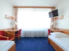 Zimmerbild 7