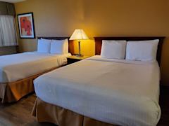 Zimmerbild 4