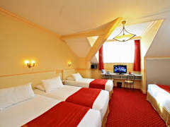 Zimmerbild 6