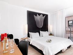 Zimmerbild 3