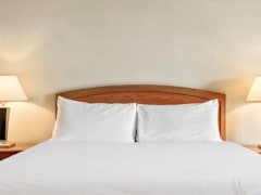 Zimmerbild 3