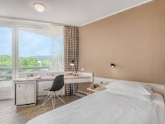 Zimmerbild 8
