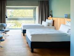 Zimmerbild 9