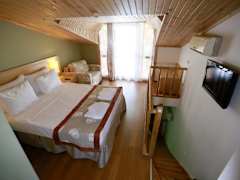 Zimmerbild 3