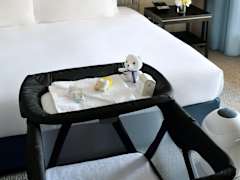 Zimmerbild 8
