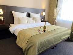 Zimmerbild 8