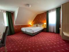 Zimmerbild 9