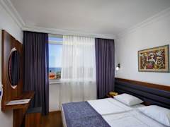 Zimmerbild 6