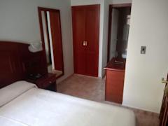 Zimmerbild 6