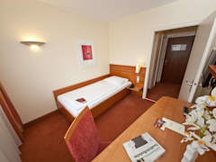 Zimmerbild 6