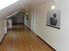 Zimmerbild 16