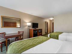 Zimmerbild 19