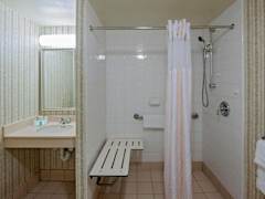 Zimmerbild 6