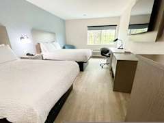 Zimmerbild 1