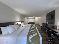 Zimmerbild 7