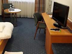 Zimmerbild 14