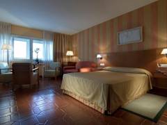 Zimmerbild 9