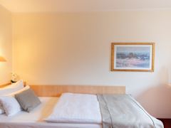 Zimmerbild 5