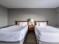 Zimmerbild 5