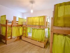 Zimmerbild 1